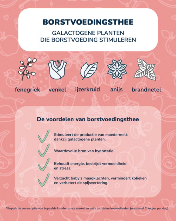 breastfeeding_tea_ingredient_nl breastfeeding_tea_ingredient_nl