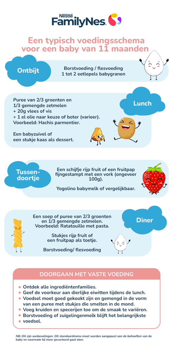 Nutrition 11 months infographic