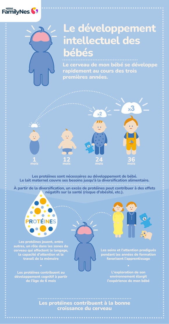 Le développement cérébral des bébés