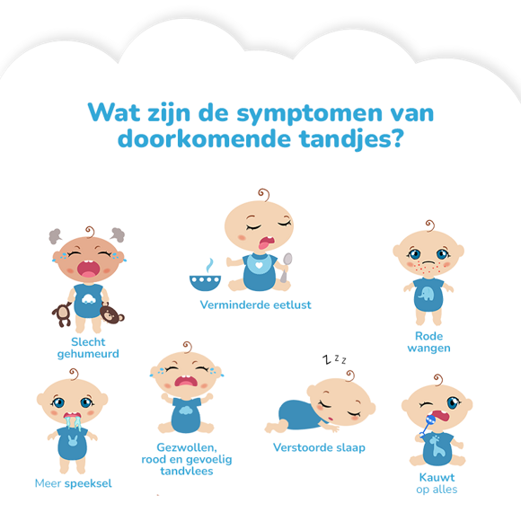 Symptomen van tandjes krijgen bij baby's Slecht gehumeurd_Verminderde eetlust_Rode wangen_Speeksel_Gezwollen tandvlees_Rood tandvlees_Gevoelig tandvlees_Verstoorde slaap_Kauwen