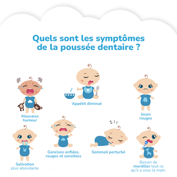 Symptômes d'une poussée dentaire chez bébés Mauvaise humeur_Appétit diminueé_Joues rouges_Salivation plus abondate_Gencives enflées_Gencives rouges_Gencives sensibles_Sommeil perturbé_Mordiller