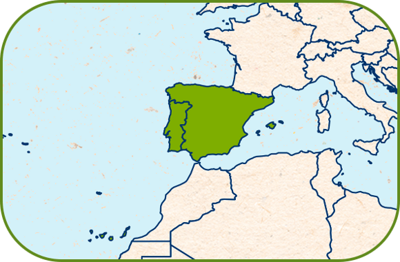tomaten-map tomaten-map