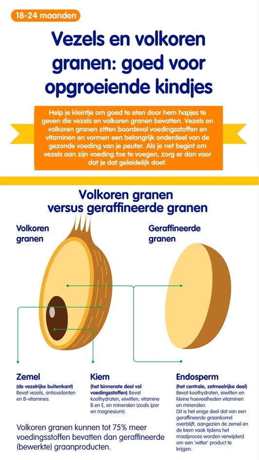 Vezels en volkoren infographic
