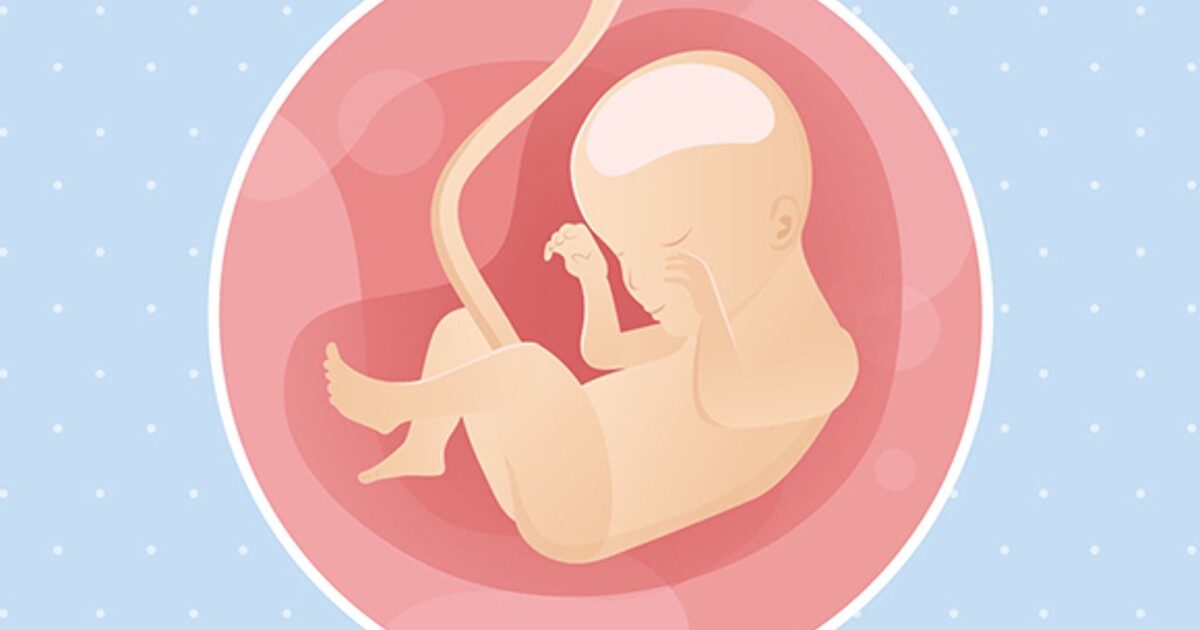 zaad slijm vasthouden 24 weken zwanger | Nestlé Baby®