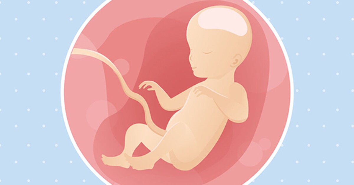 Kolonisten kamp Tante 26 weken zwanger | Nestlé Baby®