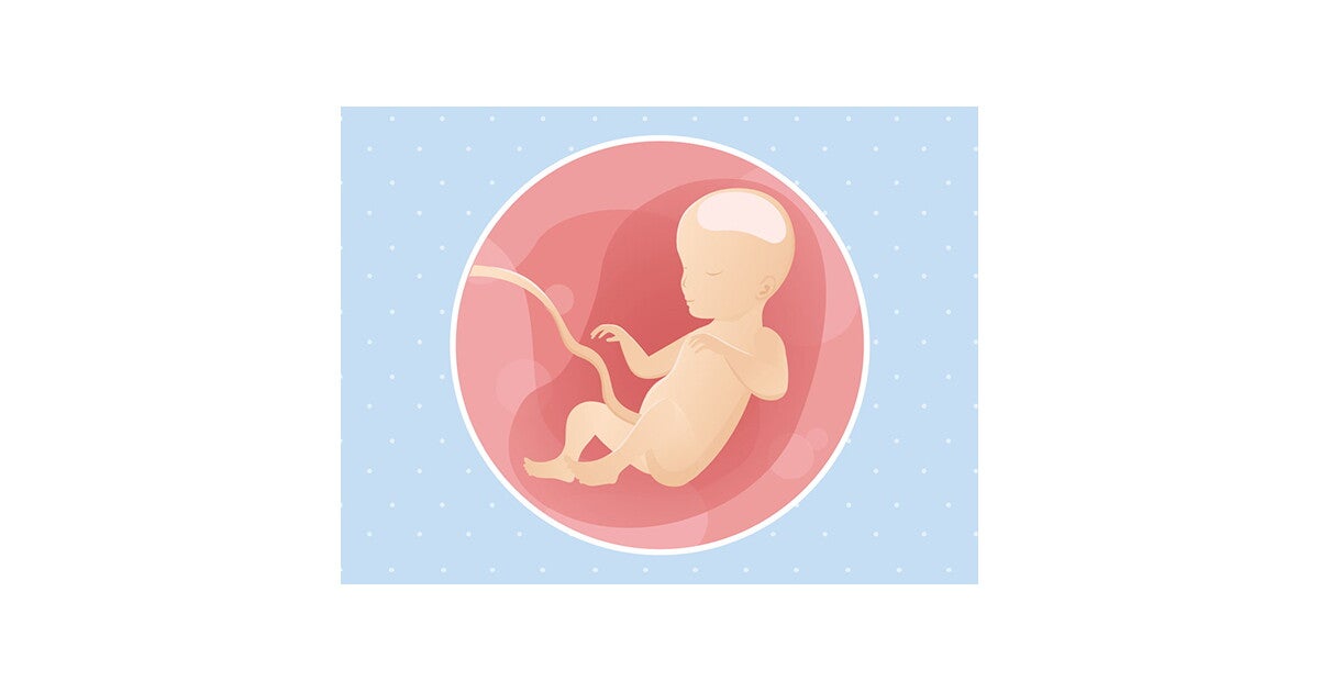 26 weken zwanger - Voedingstips en Advies | Nestlé Baby®