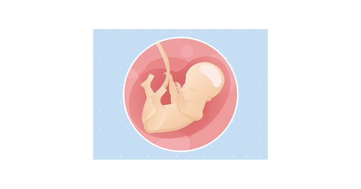 Grossesse : Enceinte De 28 Semaines | Nestlé Baby®