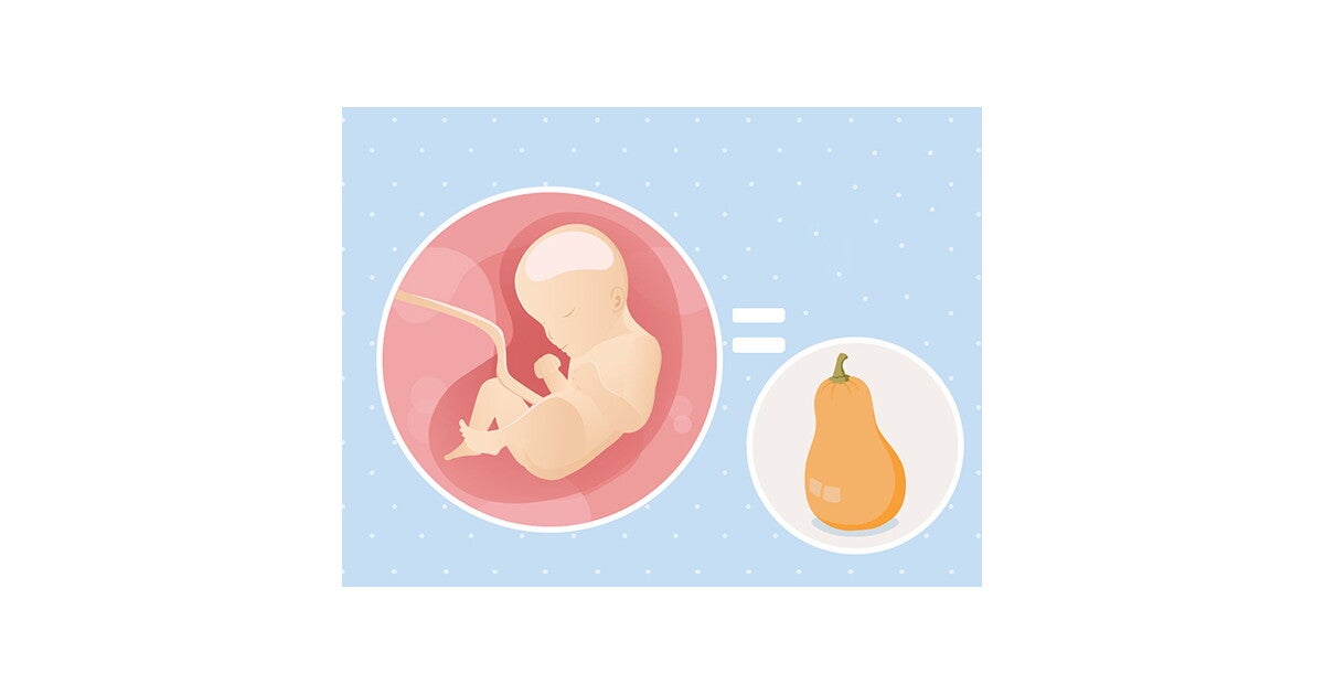 29 weken zwanger Voedingstips en Advies Nestlé Baby®