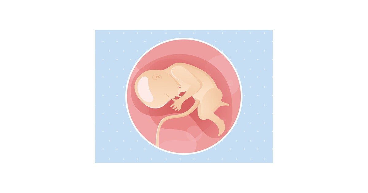 33 weken zwanger Voedingstips en Advies Nestlé Baby®