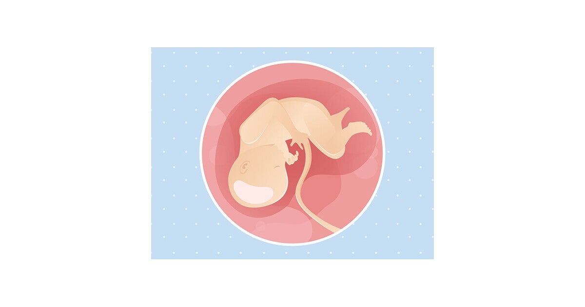 34 weken zwanger Voedingstips en Advies Nestlé Baby®