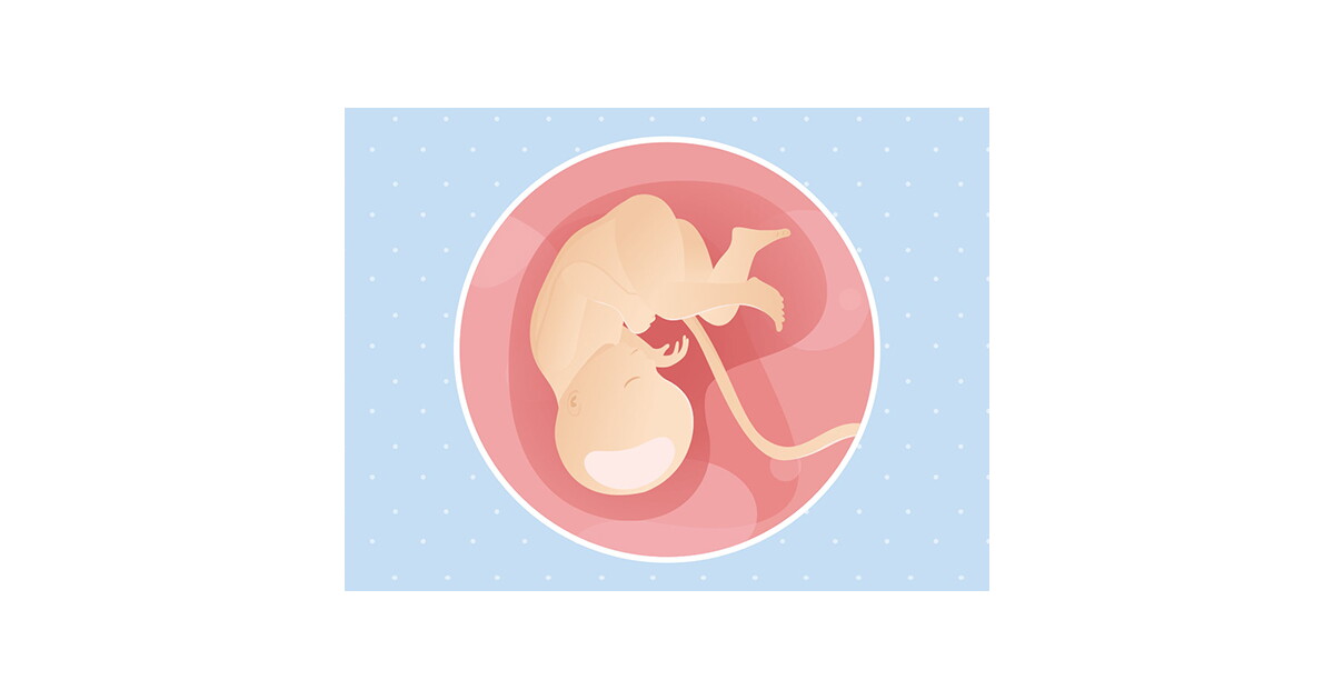 35e Semaine De Grossesse 37 Sa Nestle Baby 35e Semaine De Grossesse 37 Sa Nestle Baby