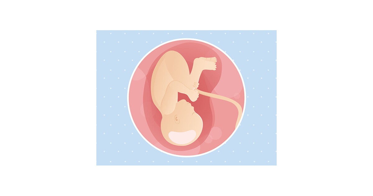 38e semaine de grossesse (40 SA) Nestlé Baby
