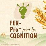 Logo graphique avec ampoule verte, épis de blé et texte français FER-Pro** pour la COGNITION